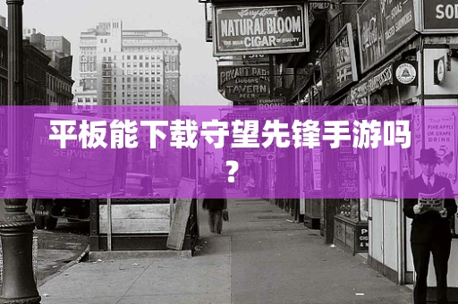 平板能下载守望先锋手游吗？