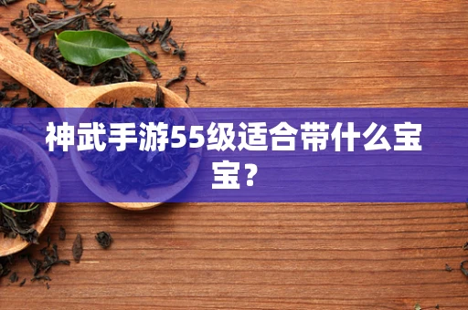 神武手游55级适合带什么宝宝？