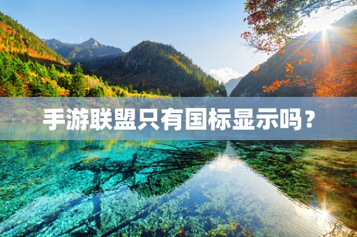 手游联盟只有国标显示吗？