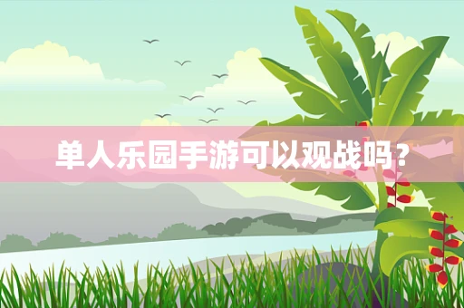 单人乐园手游可以观战吗？