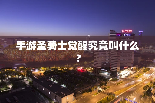 手游圣骑士觉醒究竟叫什么？