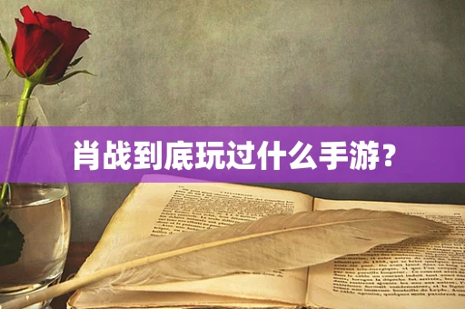 肖战到底玩过什么手游？