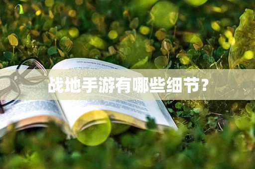 战地手游有哪些细节？
