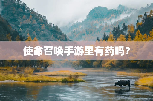 使命召唤手游里有药吗？