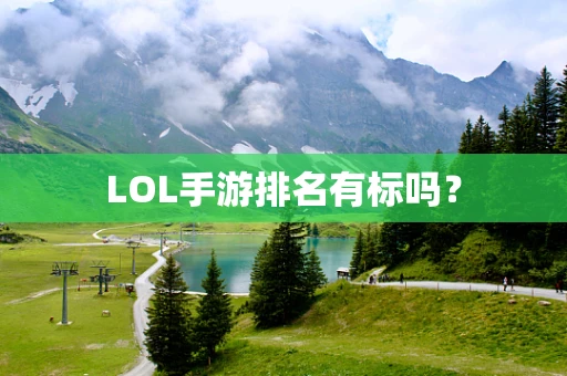 LOL手游排名有标吗？