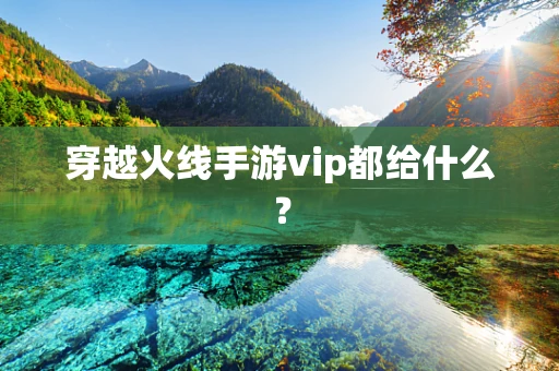 穿越火线手游vip都给什么？