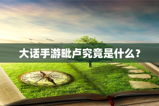 大话手游毗卢究竟是什么？