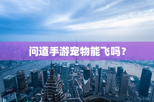问道手游宠物能飞吗？