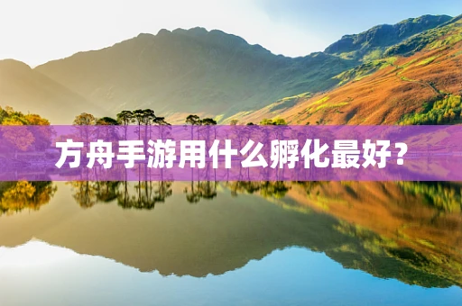 方舟手游用什么孵化最好？