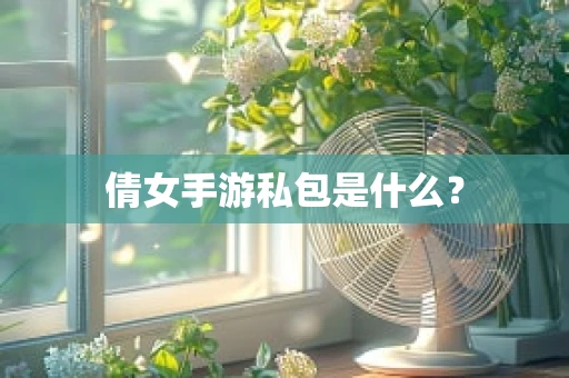 倩女手游私包是什么？