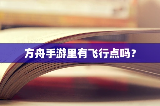 方舟手游里有飞行点吗？