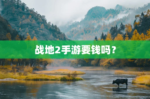 战地2手游要钱吗？