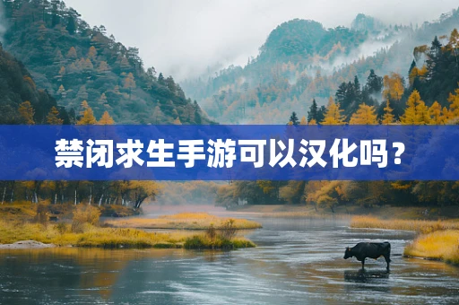 禁闭求生手游可以汉化吗？