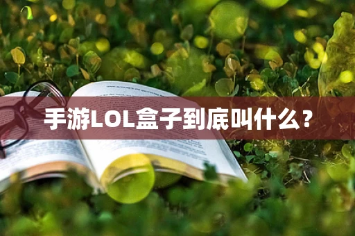 手游LOL盒子到底叫什么？