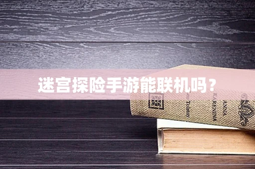 迷宫探险手游能联机吗？