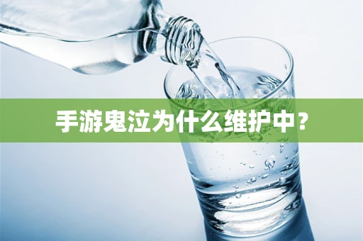 手游鬼泣为什么维护中？