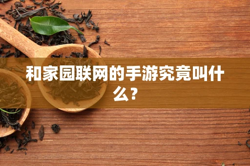 和家园联网的手游究竟叫什么？
