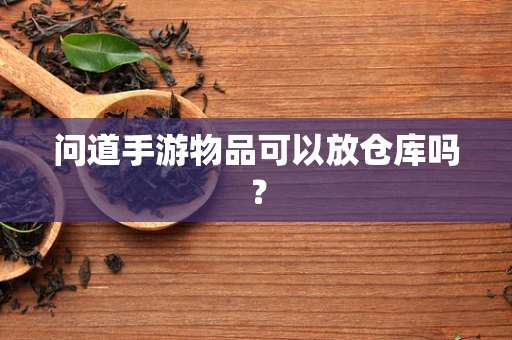 问道手游物品可以放仓库吗？
