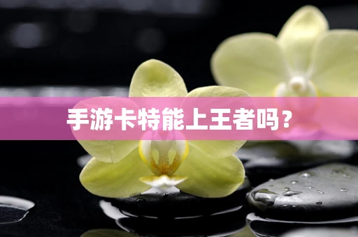 手游卡特能上王者吗？