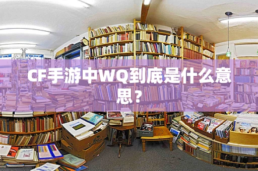 CF手游中WQ到底是什么意思？