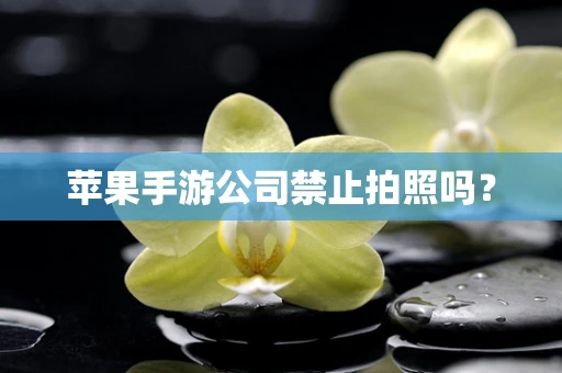 苹果手游公司禁止拍照吗？