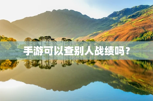 手游可以查别人战绩吗？