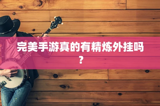 完美手游真的有精炼外挂吗？