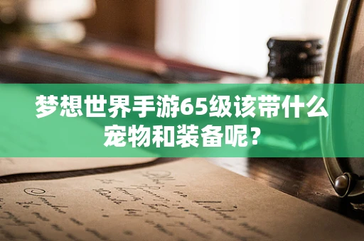 梦想世界手游65级该带什么宠物和装备呢？