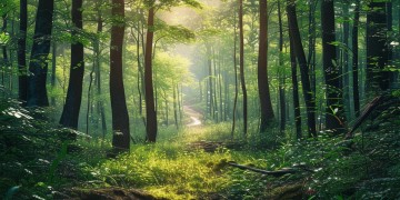 森林 1手游能联机吗？