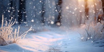暖雪手游会删档吗？
