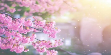 少女前线本身就是手游吗？